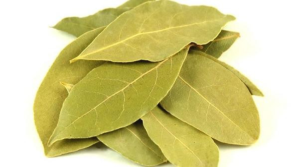 لهذه الأسباب.. عليكم حرق ورق الغار في المنزل!