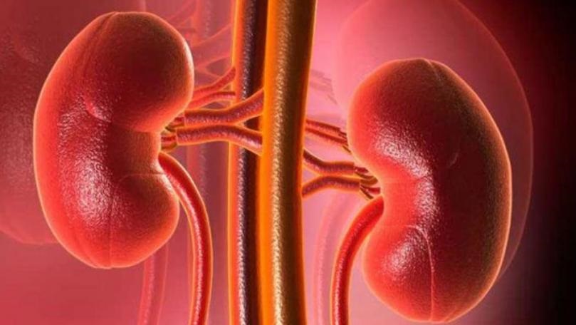 كلى جديدة لإنقاذ الملايين من الفشل الكلوي