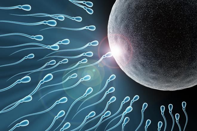 هذه الأشياء تؤّثر على الحيوانات المنويّة لديك...