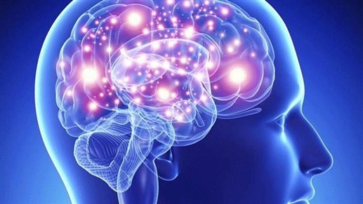 5 نصائح لتحسين عمل الدماغ