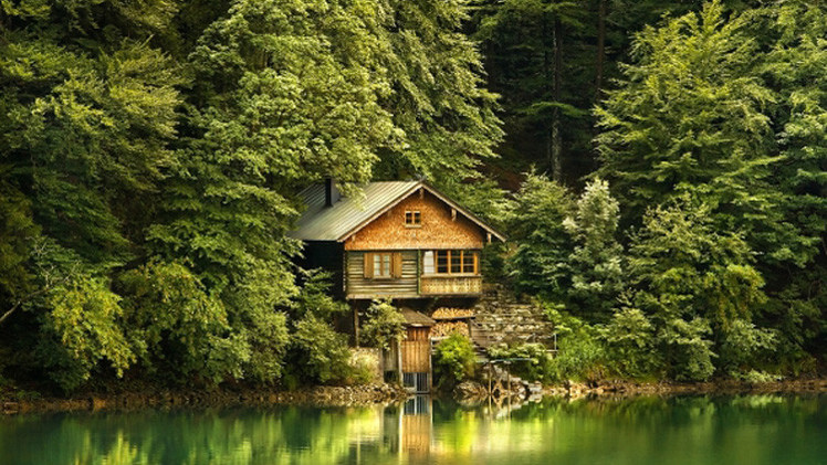 الأشجار تؤثر في صحة الإنسان