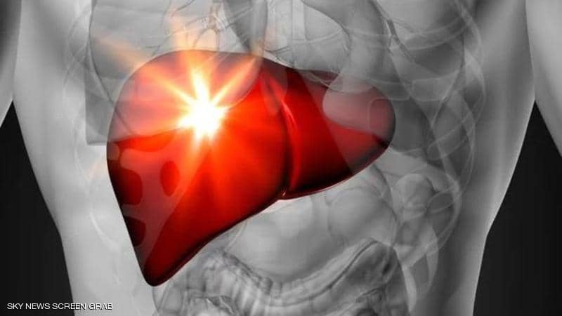 اكتشاف خلايا في الكبد قد تغني عن عمليات الزراعة