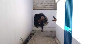 "الأونروا" تعلن عن خطة تربوية بديلة في منطقة صيدا... بسبب اشتباكات عين الحلوة