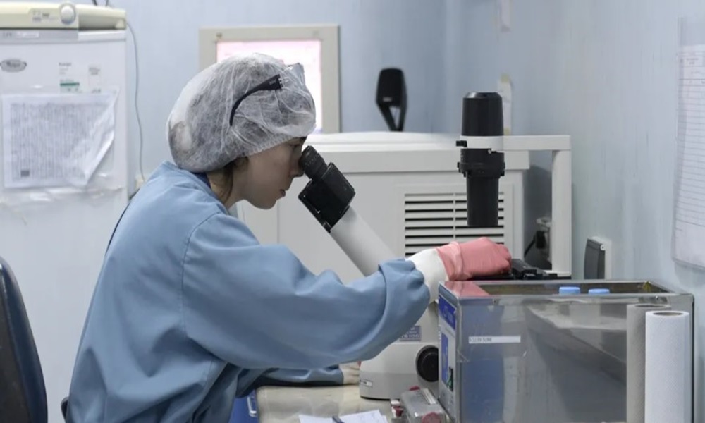 بكتيريا شائعة في جسم الإنسان &ldquo;تذيب&rdquo; خلايا سرطانية