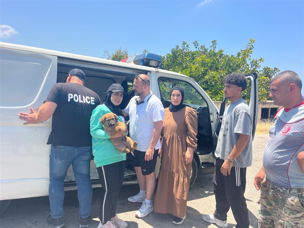 أعضاء المجلس البلدي الجديد يتابعون قضية الكلاب الشاردة في صيدا.. خطوات سريعة ومتابعة حثيثة لحل هذه المشكلة
