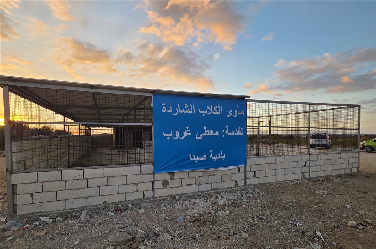 بلدية صيدا تُعلن عن مشروع مأوى للكلاب الشاردة في صيدا بتمويل من 'معطي غروب'