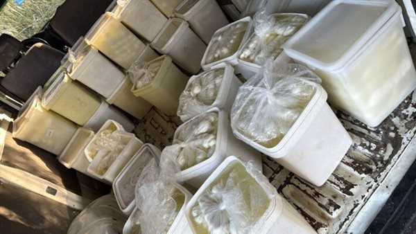 الجمارك: ضابطة صيدا أوقفت "فان" محملًا بكمية من الأجبان السورية المهربة