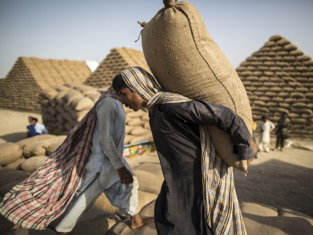 السودان يبدأ بتطبيق تعرفة جمركية جديدة لاستيراد القمح
