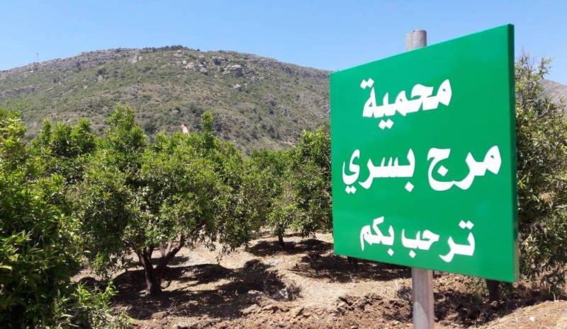 مخيم بسري في يومه ال 22: حملة تشجير وسهرة نار